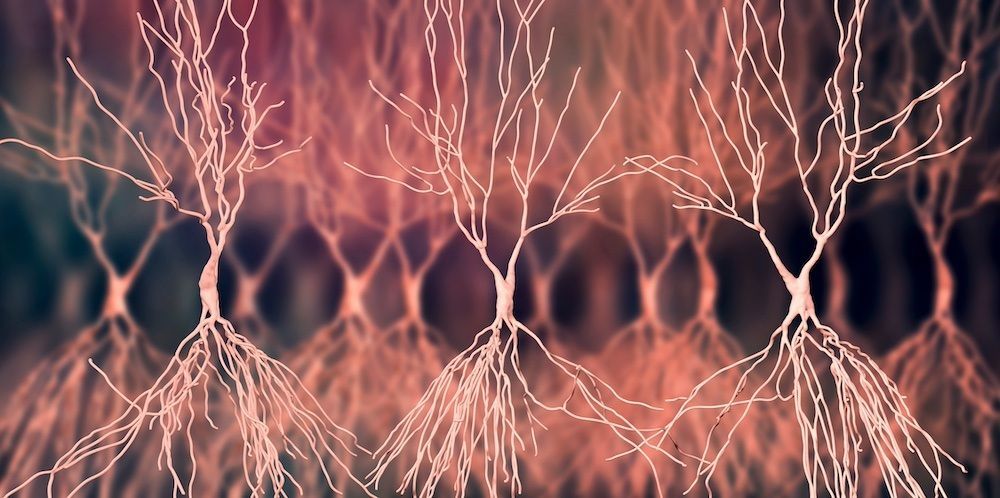 Congrats to Prof Karen Duff (<a href="/Duff_Lab/">Duff Lab</a>) who is heading up a major new UK DRI Grand Challenge project!👏

The multi-disciplinary 'dream team' of researchers aim to tackle the huge challenge of understanding what's going on in the brain in early Alzheimer's👉buff.ly/3IEOINq
