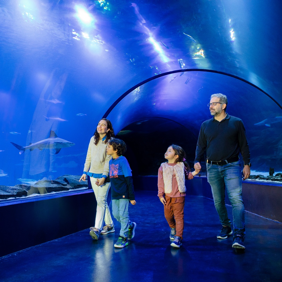 BonoParques tweet media