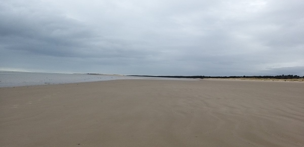Lizzy33Rose's tweet photo. Another busy afternoon on Nairn East beach! The girls didn't seem to mind though.
#labradorlove #Nairn https://t.co/peRPNDkect