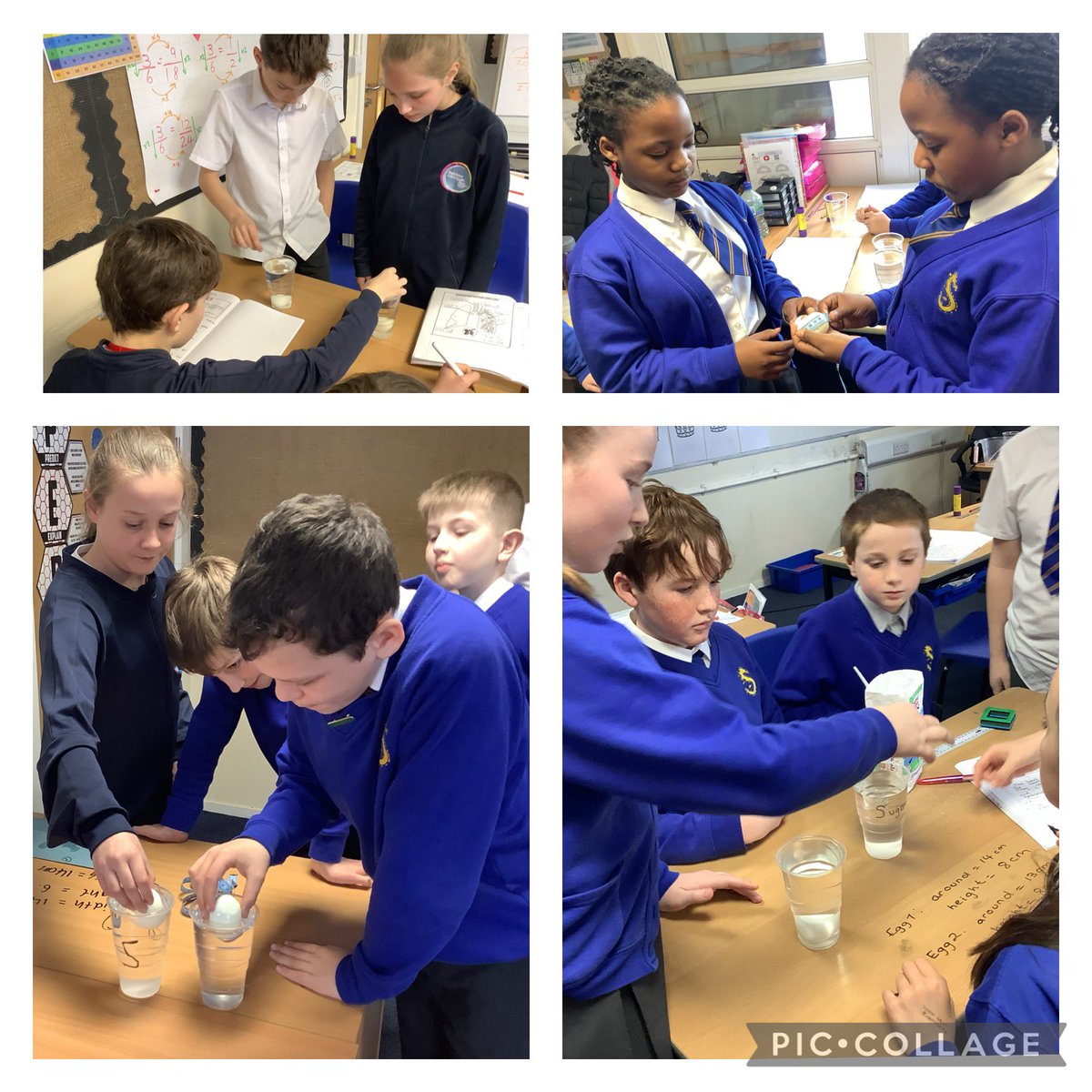 We conducted an experiment in Science today to investigate osmosis & how nutrients are absorbed into our blood. @ShoresideYear6 have made their predictions about what will happen & will look at the results on Wednesday @Shoreside1234 @MrPowerREMAT @MissKnipeREMAT @ShoresideYear1