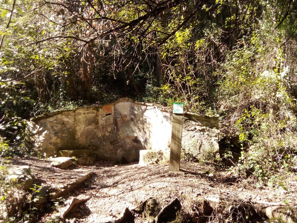 cgavarres's tweet photo. 👀Recentment hem realitzat el manteniment del corriol de la font de l’Alau, un dels itineraris per conèixer les #Gavarres des de #Celrà.

🚶‍♀️Aquesta excursió permet descobrir les restes del Molí d’en Banyes, la barraca d’en Botifarra i la mateixa font

#SomGavarres #EspaiNatural https://t.co/xjzCYOBanI