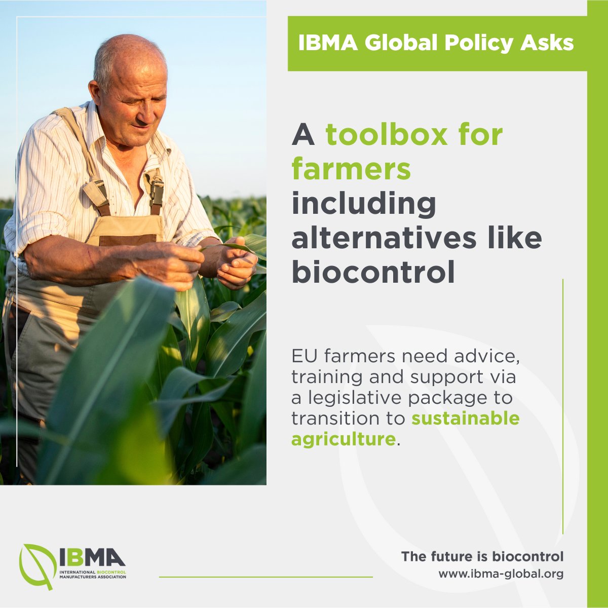 Take a look at our policy asks for next political leadership of the European Commission to ensure fast access to #biocontrol solutions while ensuring safety for #farmers, consumers and the #environment. Read in full: ibma-global.org/latest-news/le…