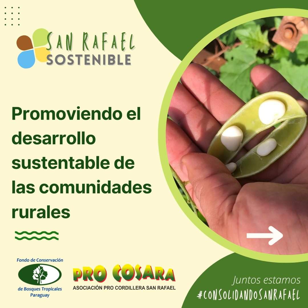 PRO COSARA tweet media