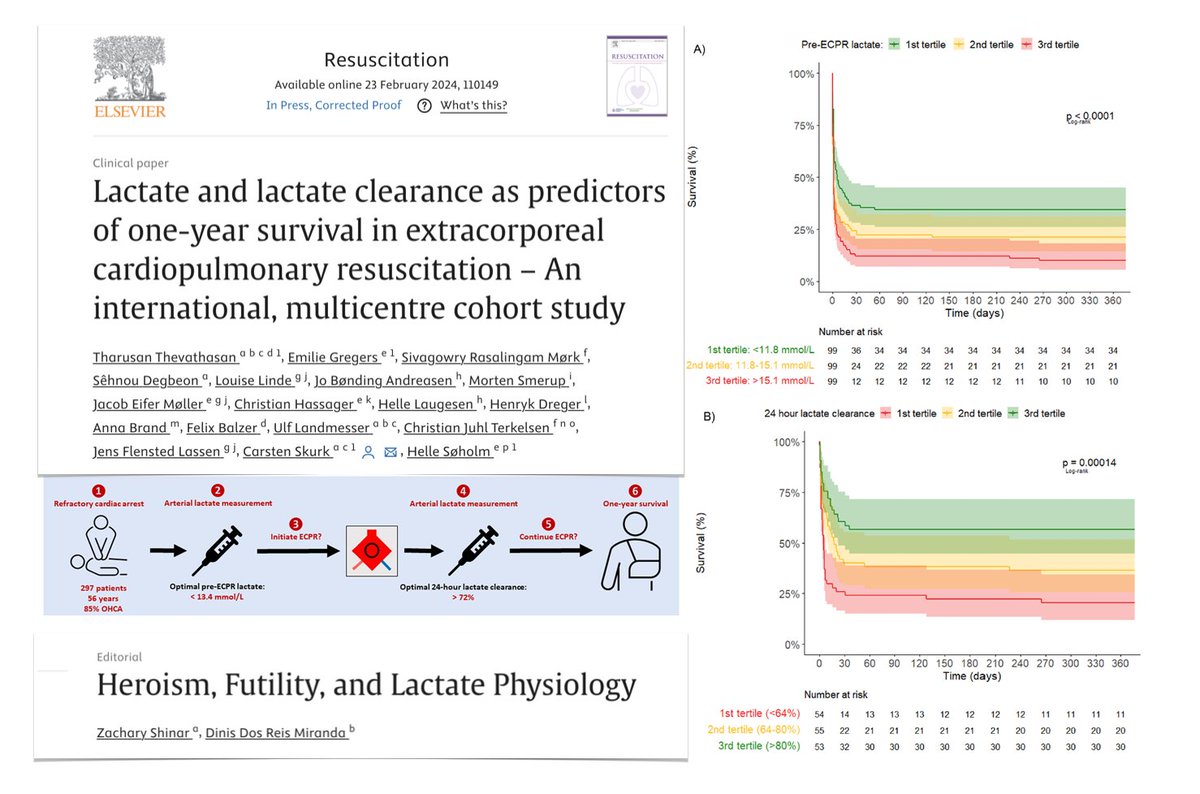 Lactate as predictor of survival in #ECPR? Not a panacea but may assist in walking the line between futility & heroism. Editorial 🔓 bit.ly/43BXe9x Refers to study showing 🧪 pre #ECMO lactate & 24h lactate clearance level-dependently associated survival. Initiation…