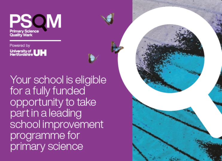Primary STEM Education Consultancy tweet media