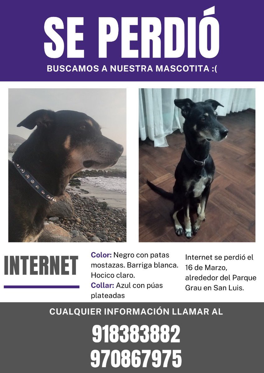 habalandia's tweet image. Estamos buscando a Internet, por favor RT para poder llegar a más personas.
