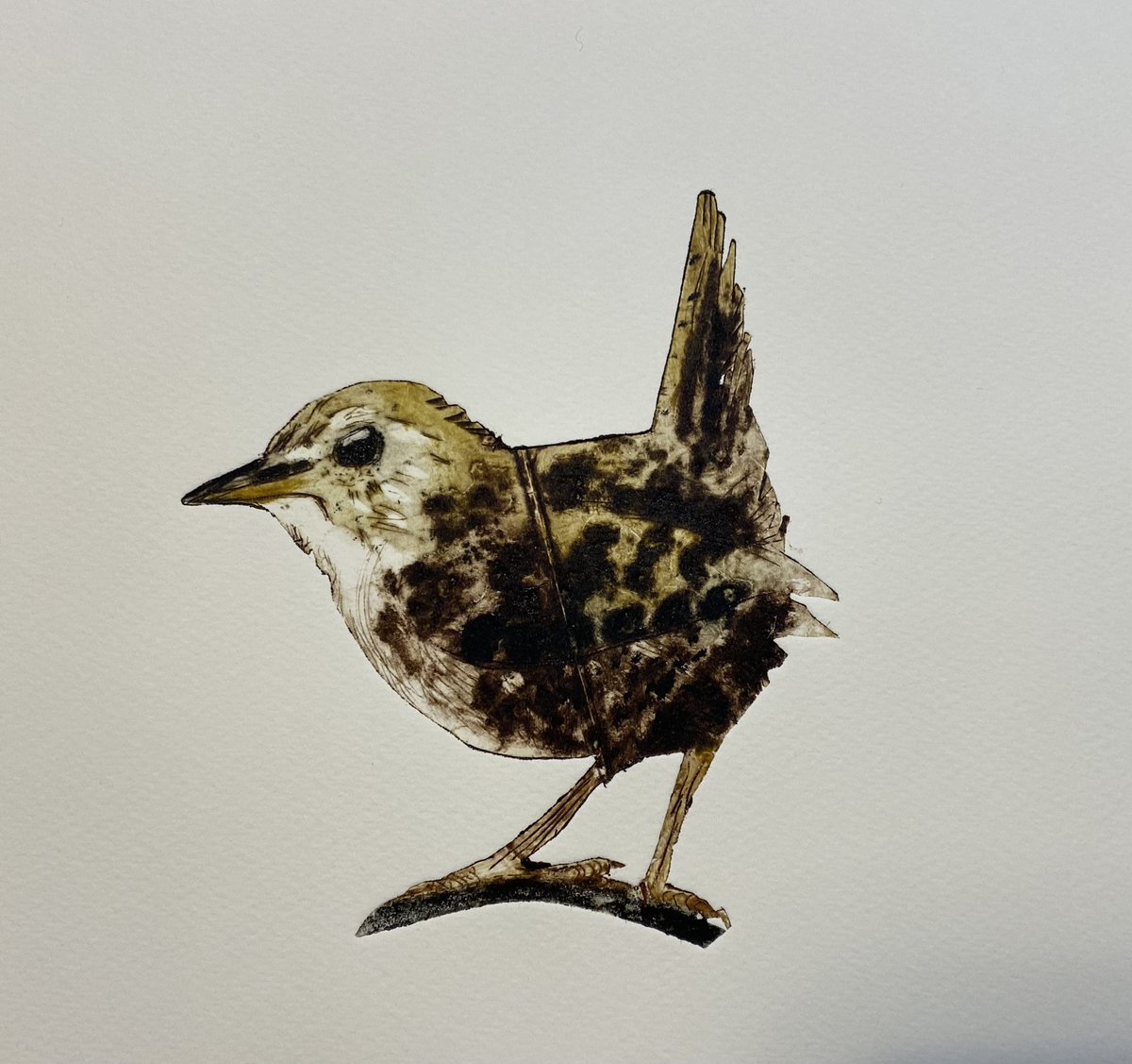 Troglodytes! What a name.
So loud and insistent the Wren’s call and such a tiny, darting bird. The first few of a small edition
#wren #tetrapakprinting #carborundum #printmaking #northyorkshireopenstudios