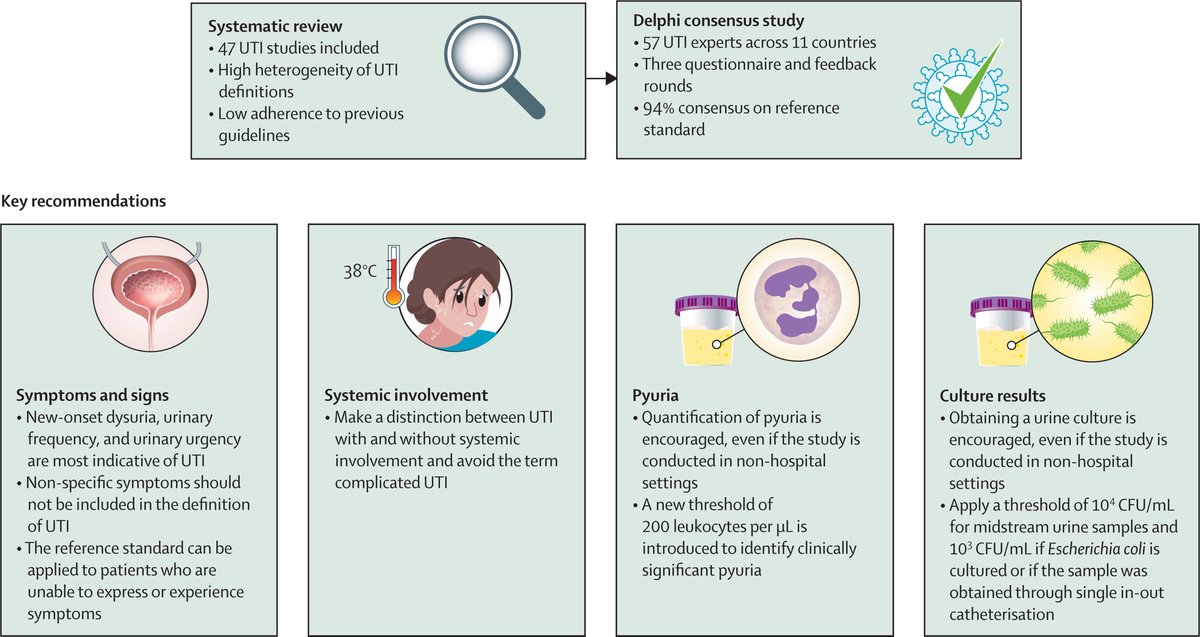 Urinary tract infection (UTI) is one of the most common bacterial infections in the global community. A Review in @TheLancetInfDis aims to achieve consensus on a reference standard for UTI and increase homogeneity between studies: hubs.li/Q02qB-j00