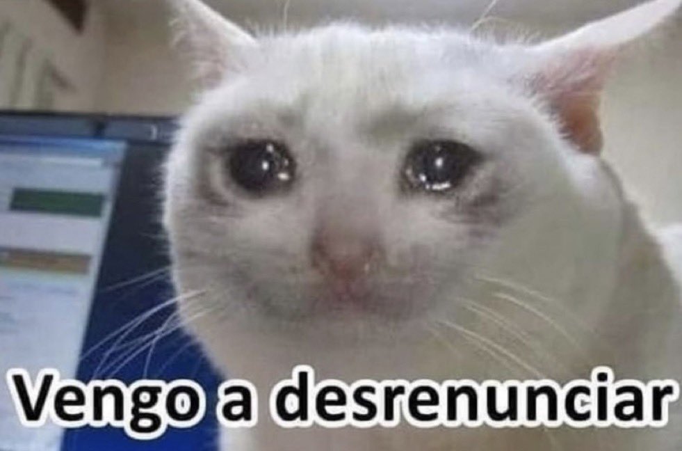 Guarromantico_'s tweet photo. Yo regresando a la empresa que cambié por otra que resultó ser peor. https://t.co/Qve42U3uSI