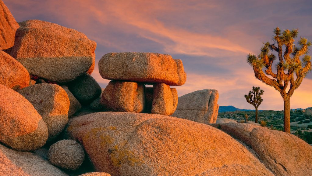 Günün Fotoğrafı 📷 Boulder rock and Yucca Brevifolia trees at sunset, Joshua Tree National Park, California, USA