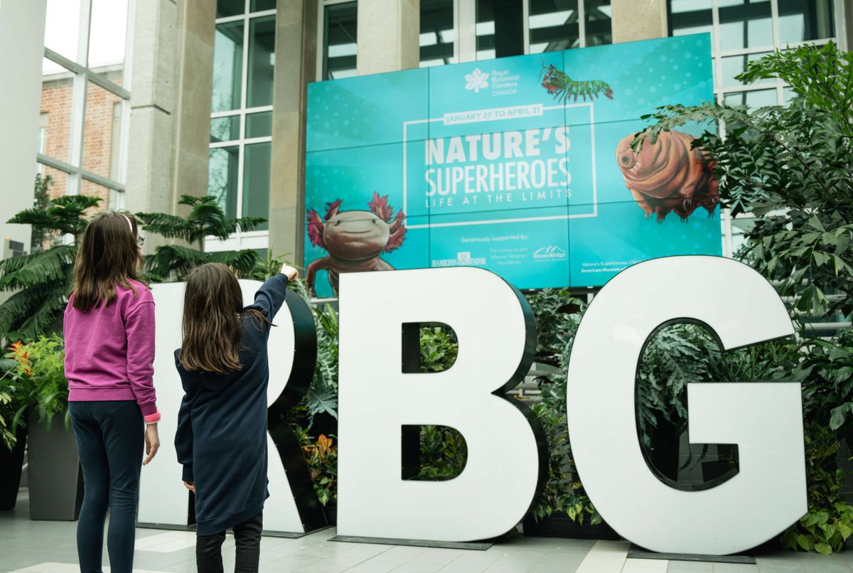 Nature’s Superheroes: Life at the Limits exhibit. Meet @RBGcanada’s Superheroes – plants and animals with unusual features addressing the most ordinary of tasks. Explore nature’s most astounding adaptations for life. 📅 until Apr. 21 Info and tickets: rbg.ca/things-to-do/b…