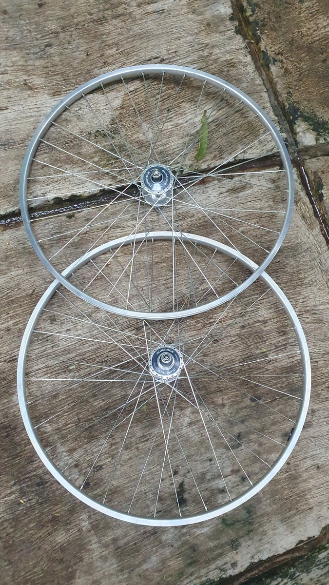 cyclosari tweet media