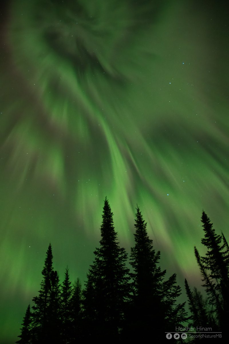 Last night's aurora didn't manifest down here in Manitoba so I went back to my photos of last year's geomagnetic storm that happened almost the same night in March. It was quite something. The storm was so strong the auroral oval stretched a long way south of me.