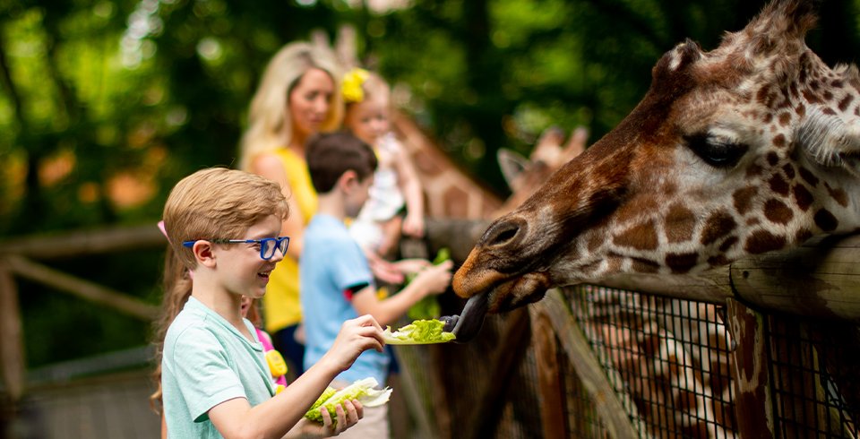 Easily plan a spring break your kids won't stop talking in West Tennessee. Check out this itinerary: bit.ly/3TKEyQH 📸: Plan A #TNSoundsPerfect