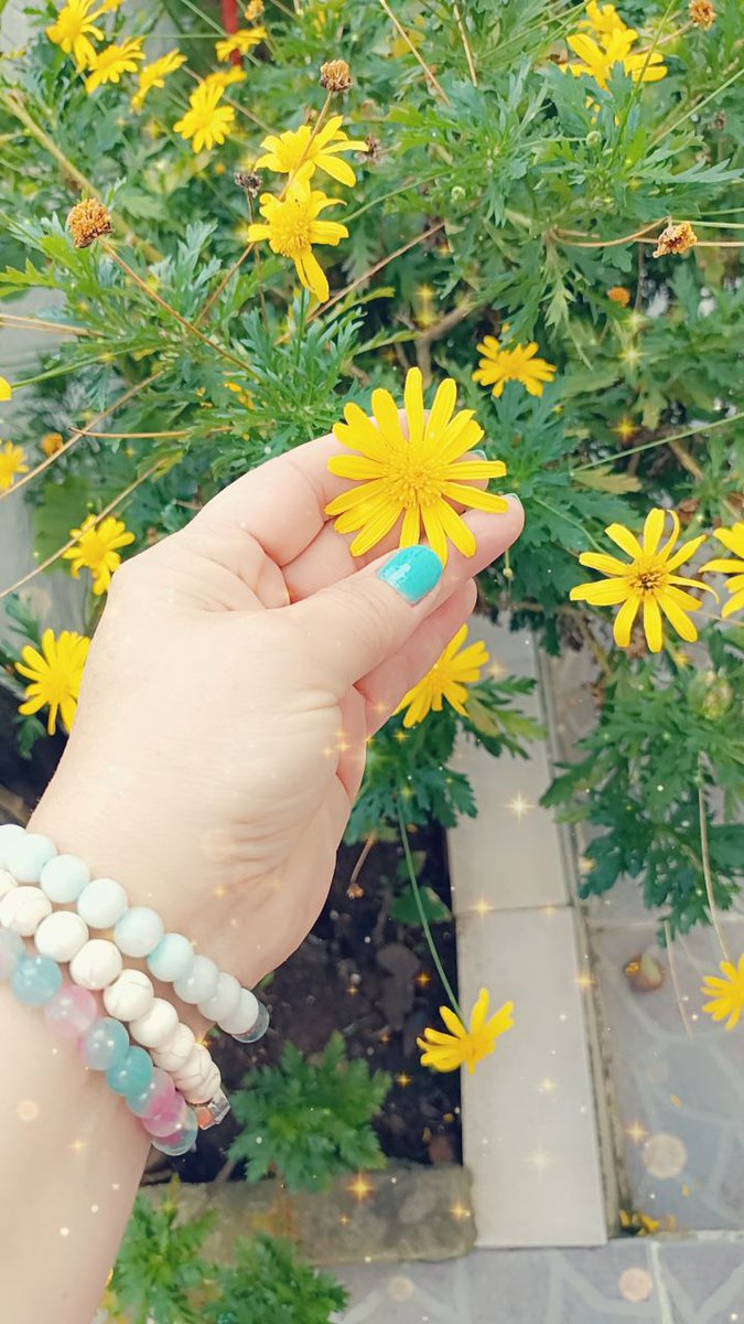 maviyeliz's tweet image. #elchallenge yaptım dörtlü kolaj