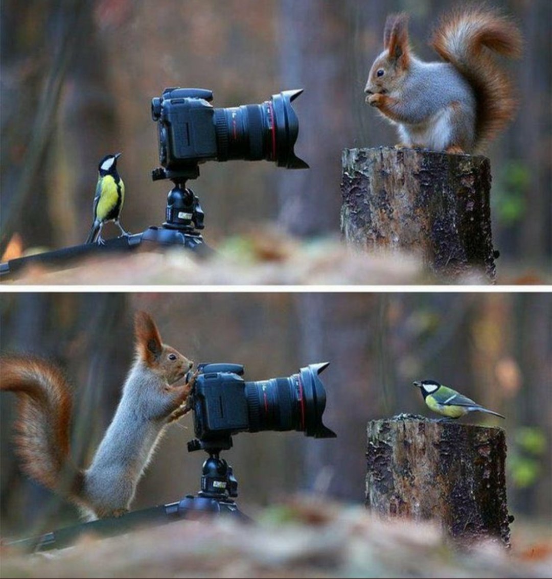 These 2 frames captured by the Russian photographer Vadim Trunov may be the cutest photos of all time.