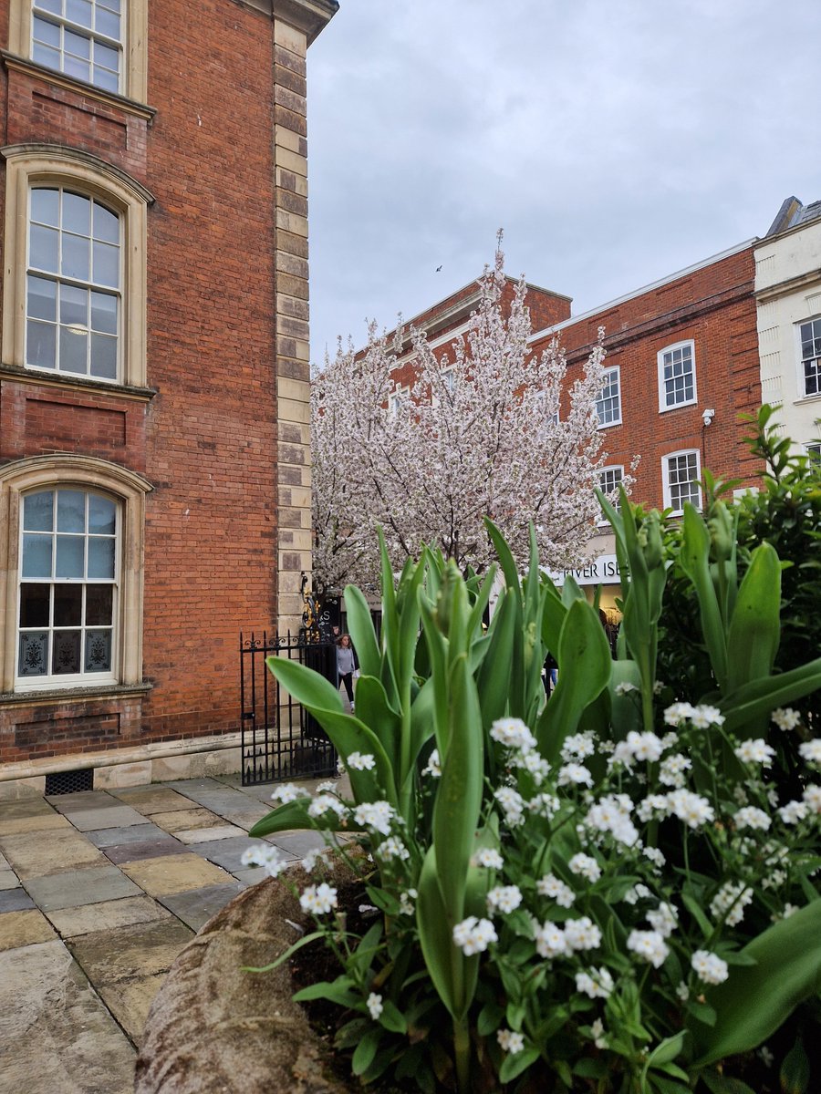 It's the Easter Holidays and we are extremely busy with our walking tours. Despite the lack of sun and being chilly, the City is full of Blossom and it's looking like Spring @myworcester @Guildhall_Worc @WorcesterTIC #Worcestershire