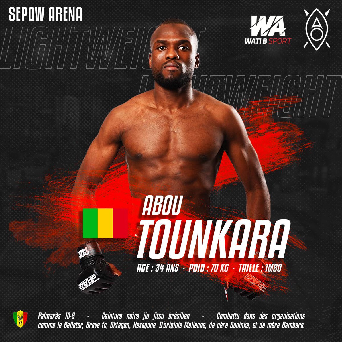 Sepow Arena tweet media