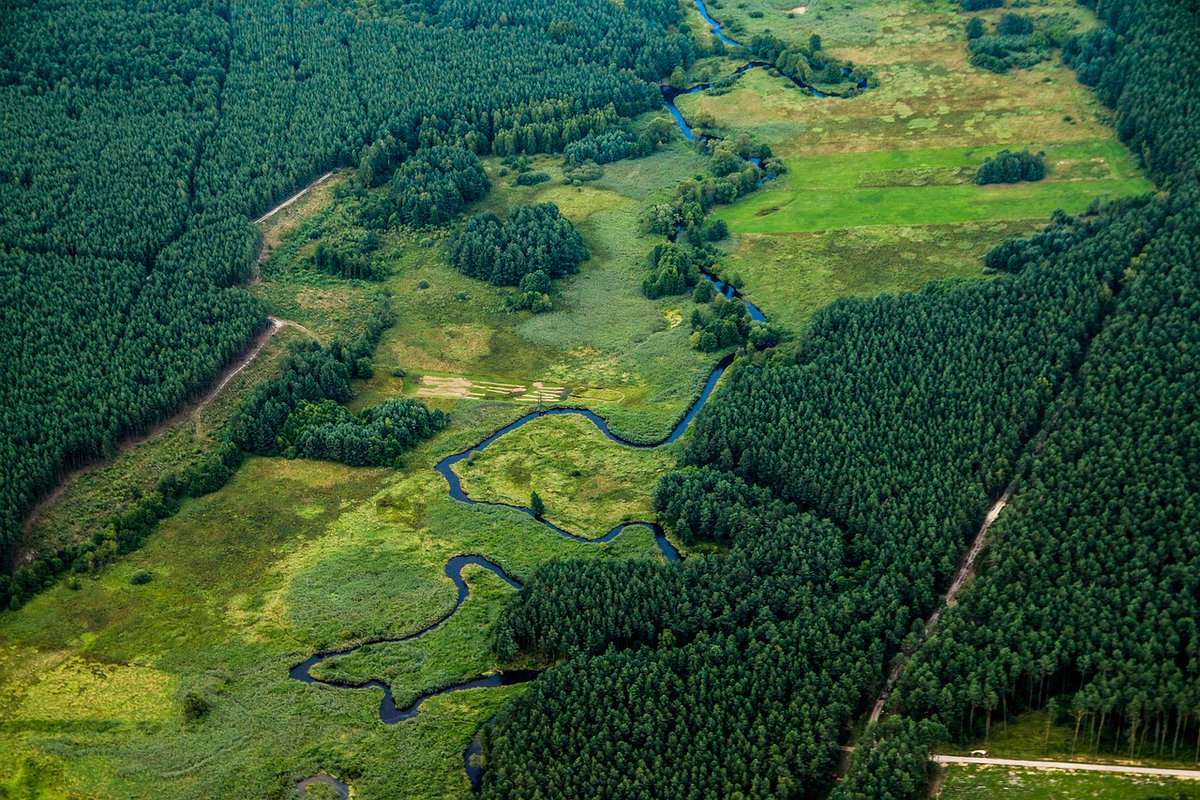 Over 80% of European habitats are in poor condition. The EU's #NatureRestorationLaw is crucial, yet Member States' failure to agree puts it at risk. IFAW urges swift support to break the deadlock in the @EUCouncil and safeguard #biodiversity & #sustainability. 🏞️ #RestoreNature