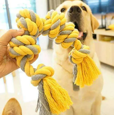 CapriFriends's tweet photo. ๐พ Calling all large breed lovers!
๐ถ Get your paws on our durable Cotton Knot Rope toy - 80cm of chewing fun!
Perfect for keeping your furry friend entertained. ๐
#DogToys #LargeBreed #ChewFun https://t.co/3LiVzTelCf