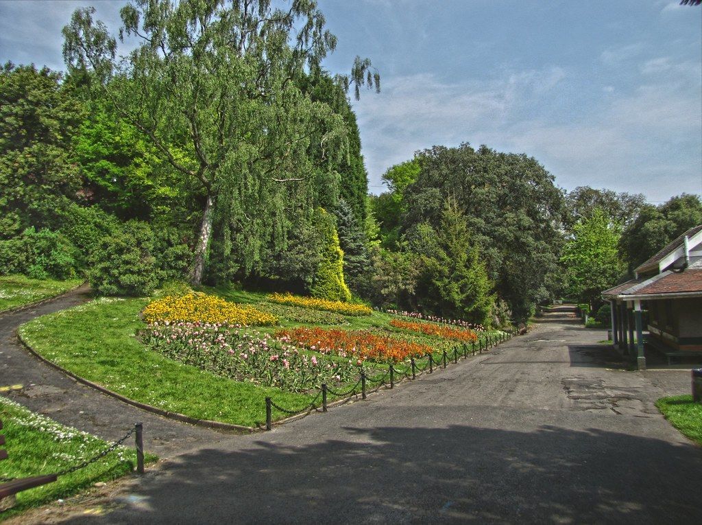 Hidden Gems of Swansea! Part 6 😊

Our next gem is Cwmdonkin Park! 🌳 Featuring a zip line, slide, tennis courts, and of course the pencil-shaped tree. Don't miss the boards about Dylan Thomas—especially the tales of the old park keeper

Best prices at cwtsh-hostel.co.uk!