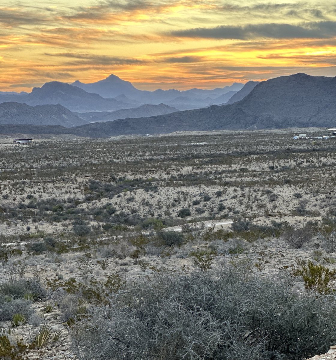 SorrelSwagger tweet media