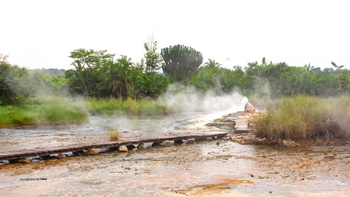 Those intending to visit off the beaten path destinations in Uganda 🇺🇬 here are two unique places to discover Uganda wildlife safaris than a visit to the gorillas. 📍Toro Semliki Wildlife Reserve 📍Semliki National Park. Forest elephant, forest buffaloes #ExploreUganda