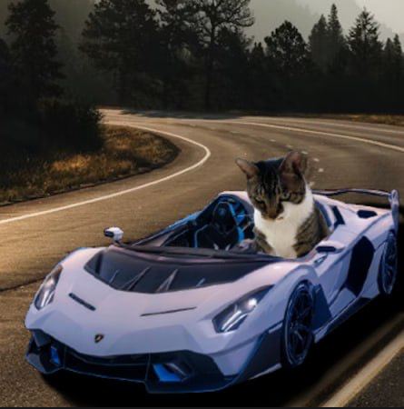 from box to ferrari $WIFBOX