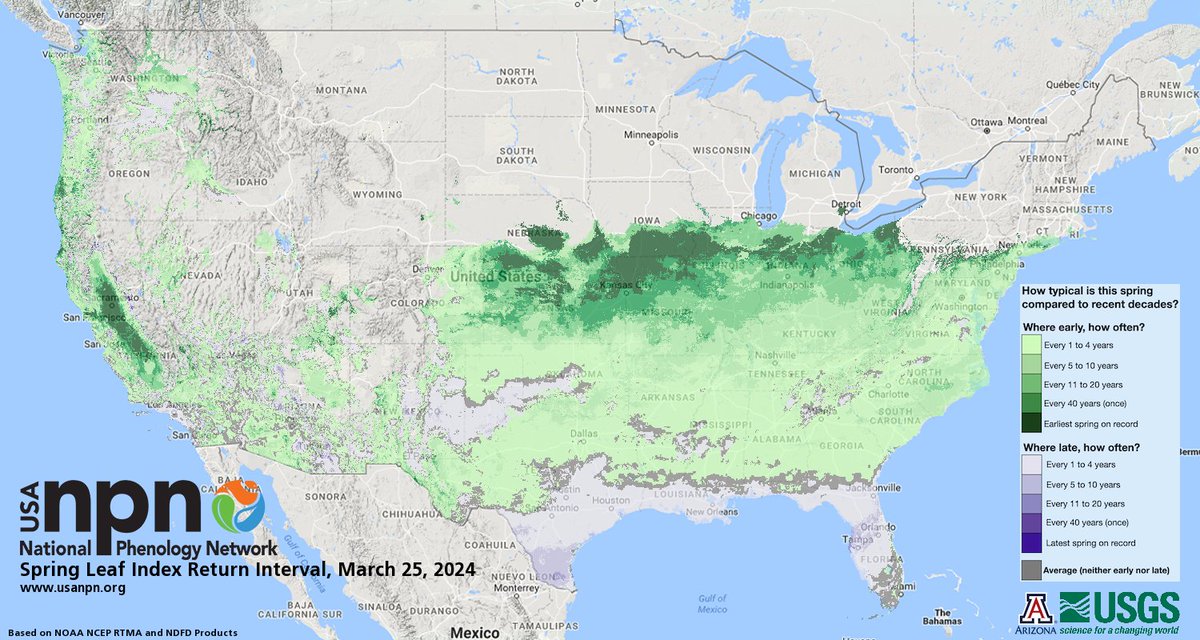 Happy #MapMonday! 🗺🌱 Check out these 2024 Spring Maps just released by the USA National Phenology Network:

usanpn.org/data/maps/spri…

#mappymonday #cartography #maps #usanpn #noaa #usgs #spring2024