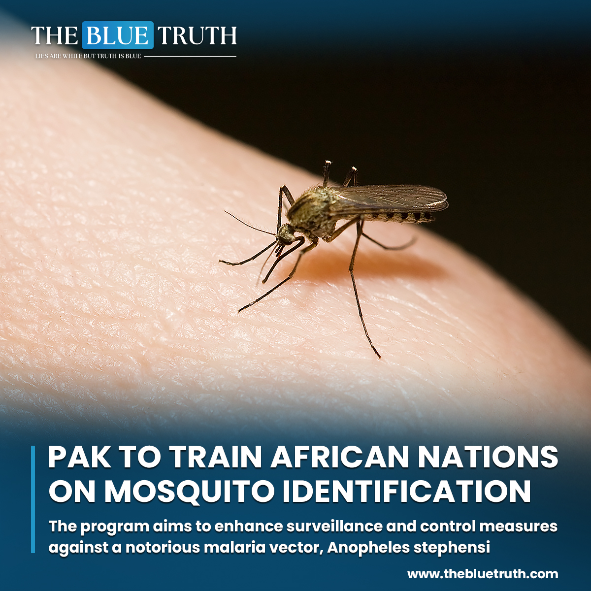 Pakistan has been chosen to spearhead the International Exchange Programme aimed at tackling the spread of Anopheles stephensi

#PakistanLeadership #InternationalExchange #MalariaControl
#AnophelesStephensi #MalariaVector #PublicHealth #GlobalHealthInitiative #tbt #thebluetruth