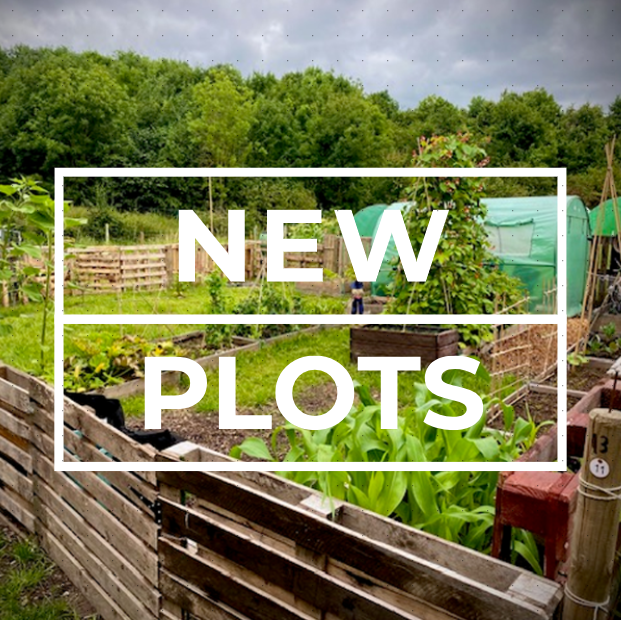 Wharfside_Allot's tweet photo. 🌱 New allotment plots available!

☀️ Sun-soaked and freshly marked, ready for eager plotholders! Start your gardening journey now! 

Apply @ https://t.co/CWdORuFbRA ! 🌿 

#Allotment #Gardening #GrowYourOwn #Lichfield #Walsall #Cannock 🥕🌻 https://t.co/0Z6s4rJarJ