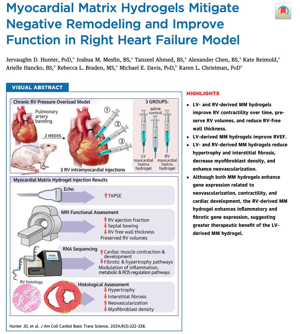 Right heart failure often leaves us grasping at straws… 🥤 In this month’s issue of #JACCBTS, Hunter, et al. from the @ChristmanLab tackle right heart failure using hydrogels from porcine myocardium. Keep reading to see what they found! 🧵 1/10