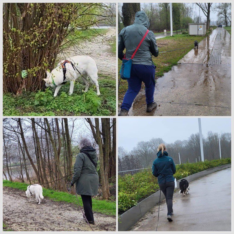 instagram.com/p/C48jp7cITfP/…