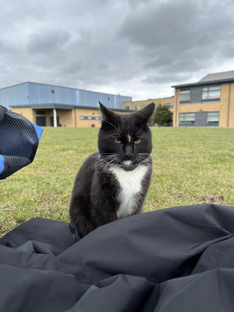 Spent the majority of my rugby lesson this morning getting scratched as I tried to get the resident school cat off our playing area 🤦‍♀️. However, Sushi was adamant that he wanted to sit and watch the girls develop their defensive line #audienceapproval 🐈‍⬛