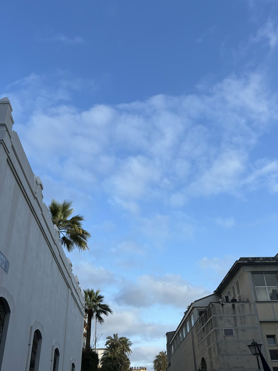 Qué bonito sería si este cielo azul tb cobijase ahora a las imágenes de Santa Genoveva o San Pablo haciendo estación de penitencia por sus barrios.

Podría ser una alternativa para días de lluvia a primera hora.
#SSantasevilla2024 #SSantasevilla24
