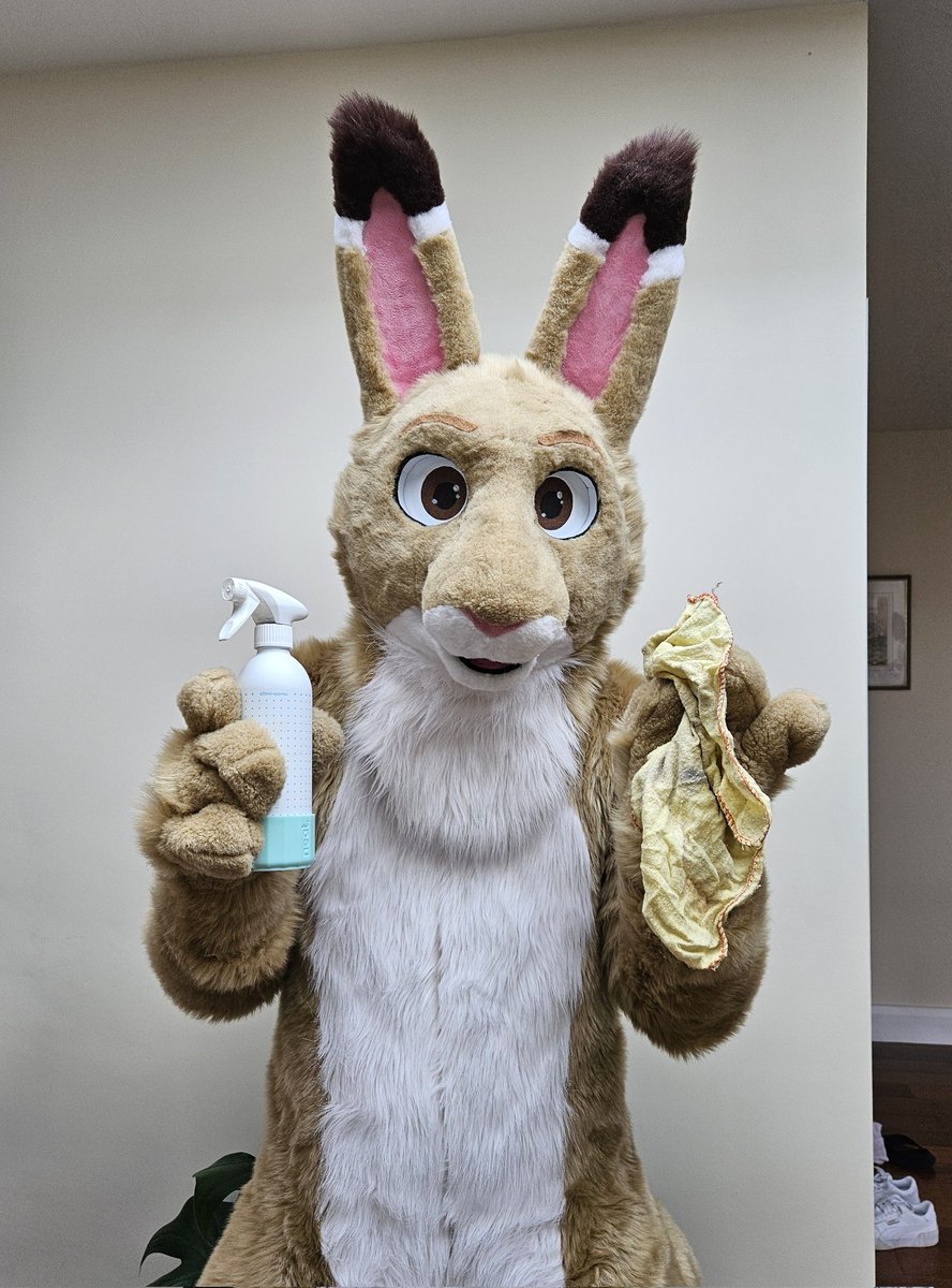 I hear it's #NationalCleaningWeek. 🧹🪣

You could sure do with a dust off! 🐾🧽💦

#FursuitEveryday #hare