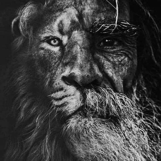 #صورة_ملف_شخصي_جديدة