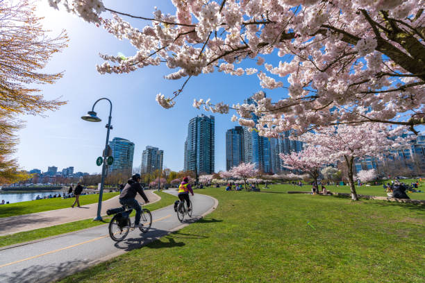 MapleVoyage's tweet image. #SpringTrip   - During Spring, the city of Vancouver on the west coast of Canada turns into an outdoor lover’s playground. The annual snow of winter has melted away, and the city is ready to enjoy being outside again.
