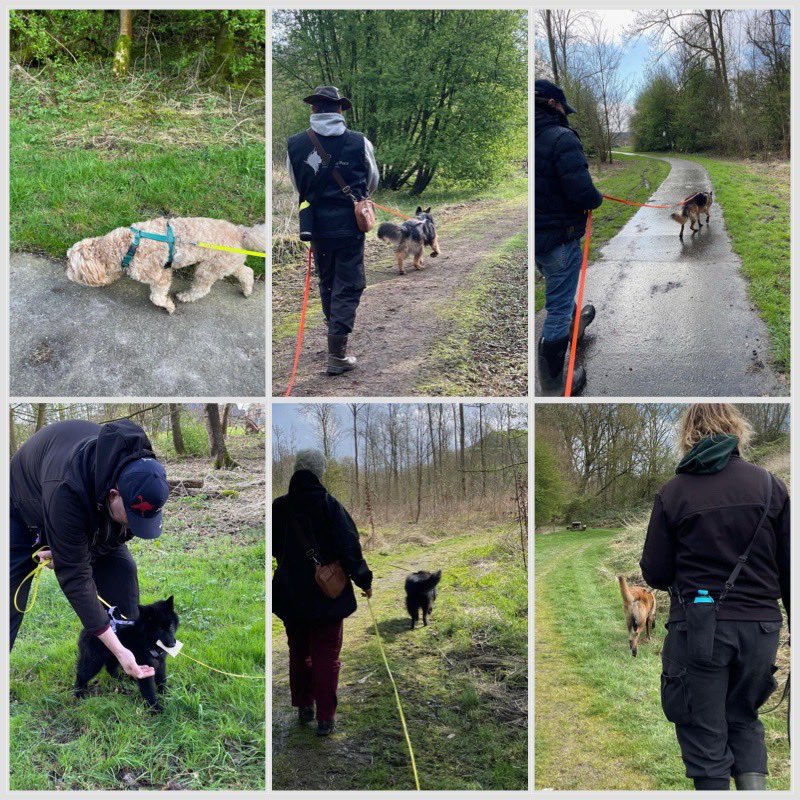 instagram.com/p/C48km-oI_0r/…