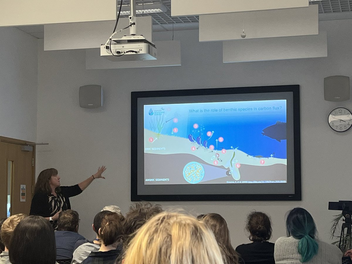 Mara Fischer (@marafischr) on Twitter photo Great talk today by @CezzaLew explaining why mud matters 🪱 and how we need transdisciplinary approaches to tackle global challenges. 🌏 Highlighting some of our ongoing work as part of the <a href="/ConvexSeascape/">Convex Seascape Survey</a> Survey 🌊 Great talk today by @CezzaLew explaining why mud matters 🪱 and how we need transdisciplinary approaches to tackle global challenges. 🌏 Highlighting some of our ongoing work as part of the <a href="/ConvexSeascape/">Convex Seascape Survey</a> Survey 🌊
