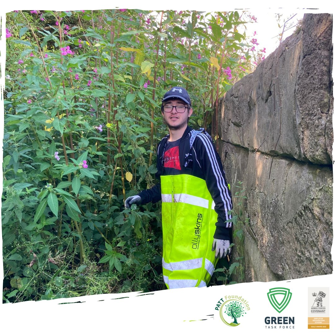 Is Himalayan Balsam on your land? Introduced as an ornamental garden species, it has spread in the wild, thriving in damp conditions often found along riverbanks and in woodlands. For safe removal and disposal of this invasive species, email info@greentaskforce.co.uk