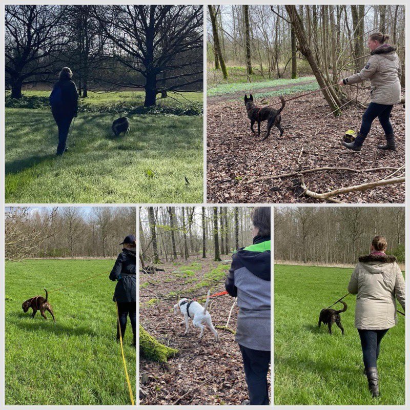 instagram.com/p/C48lqRjIo1o/…