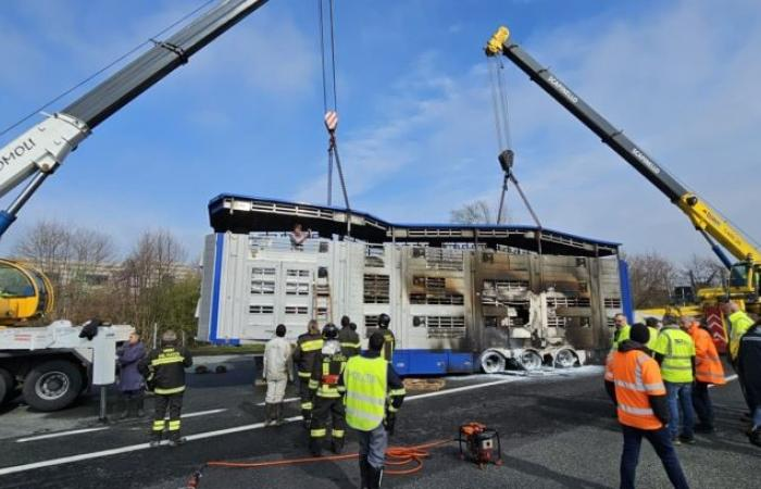 Ethical Farming Ireland tweet media