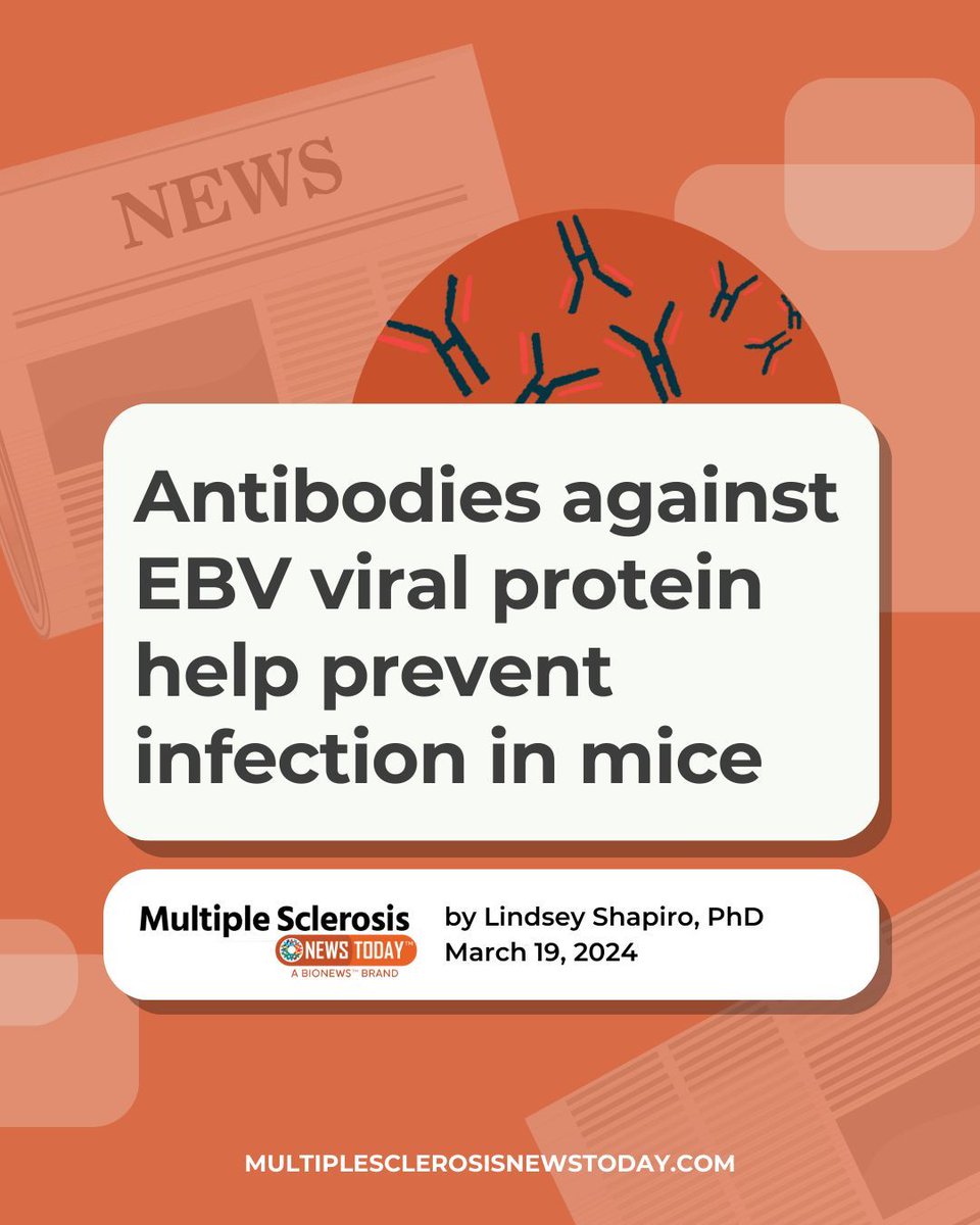 Given EBV’s now-established link to diseases like MS, these findings put researchers one step closer to developing a vaccine for the virus. bit.ly/3vlRwMs 

#MS #MultipleSclerosis #MSResearch #MSNews #EpsteinBarr