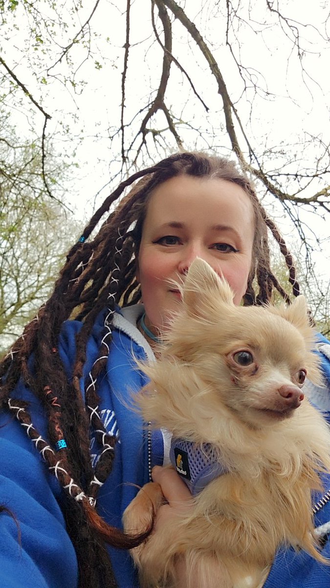 Clearing out the cobwebs with my 'walking' buddy! Someone has decided to write a second research paper. Done know who that crazy person is 🤔🤣 #walking #nature #chihuahua #dog #cute #research #science