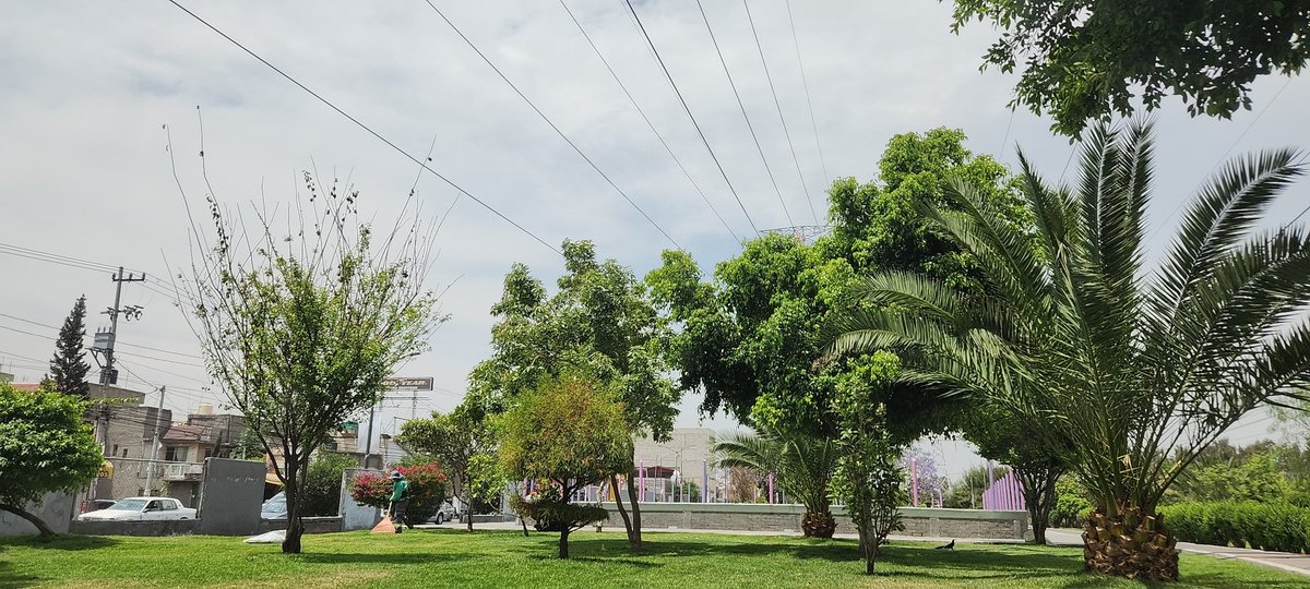 Ando de visita por estos rumbos Parque margarita