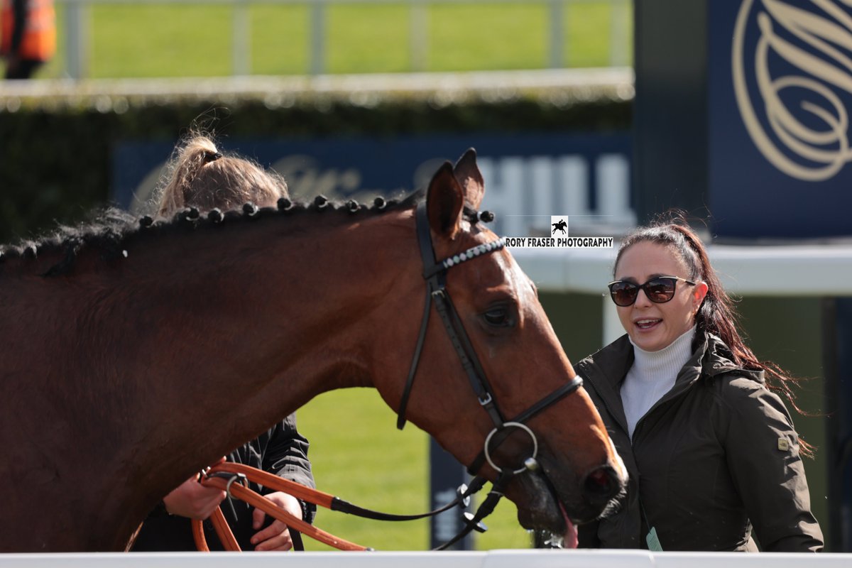 Action from race two at Doncaster yesterday, the 3-year-old handicap (1m2f) KING OF SPAIN (Phoenix of Spain x Clarinda) is bred to relish a staying trip on turf and won impressively here. Drawing clear in the style of a promising horse. An exciting time for the @GemmaTutty stable