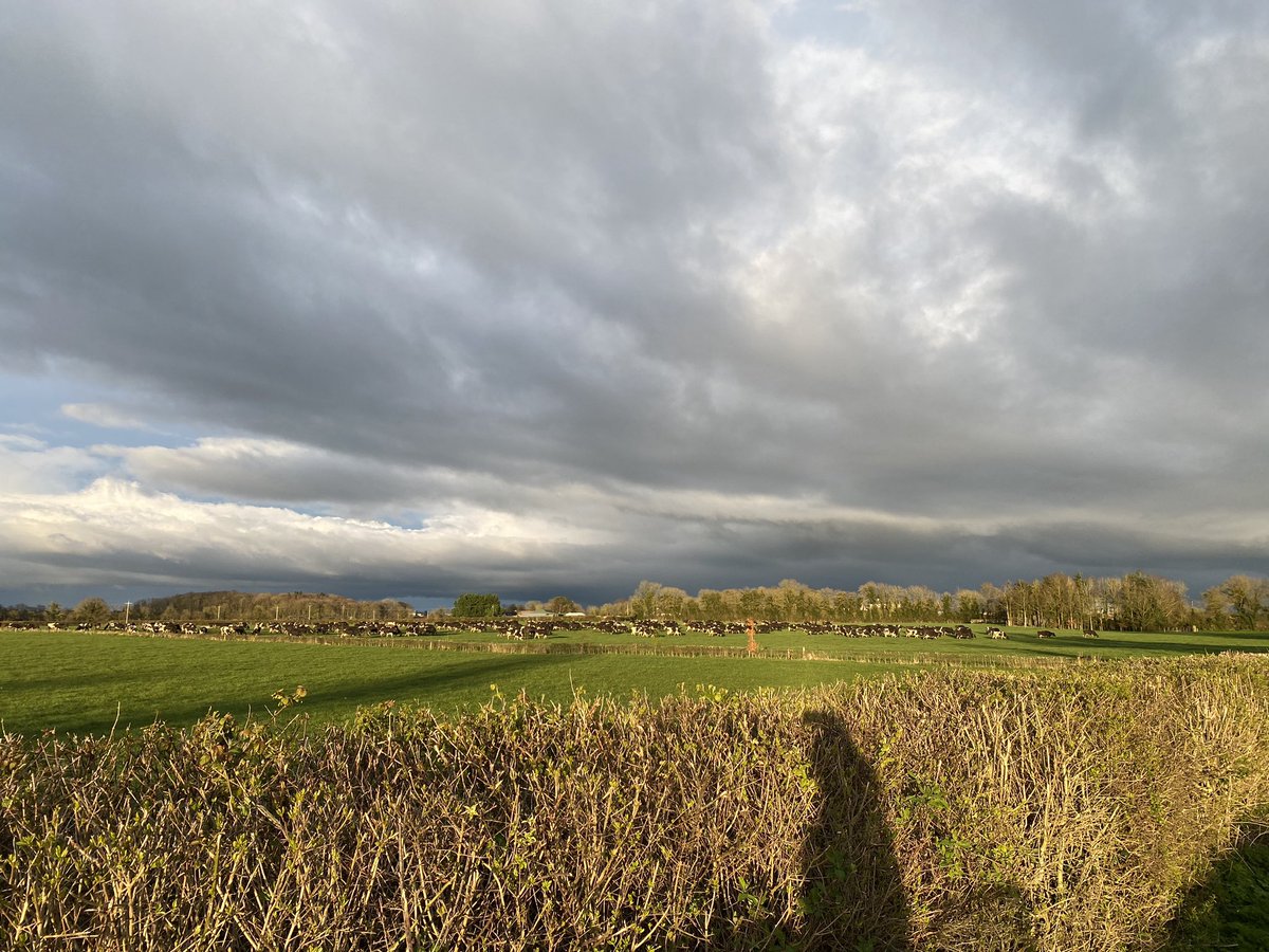 A lovely sight, if it was the right field. Second round underway.
