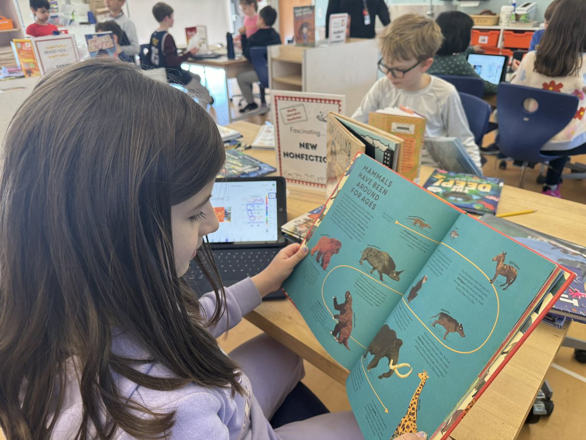 Melissa Lavery tweet media