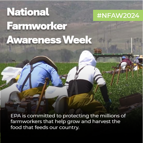 It’s National Farmworker Awareness Week! Farmworkers are at high risk for pesticide exposure and @EPA is committed to protecting the millions of farmworkers that help grow and harvest the food that feeds our country. Learn more: epa.gov/pesticide-work…. #NFAW2024